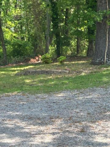 Serene Retreat! 420 Friendly In Designated Area, 3 Minutes To Downtown Richmond Extérieur photo